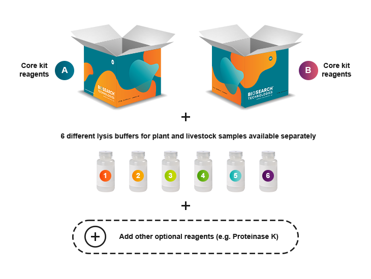 sbeadex lightning kits