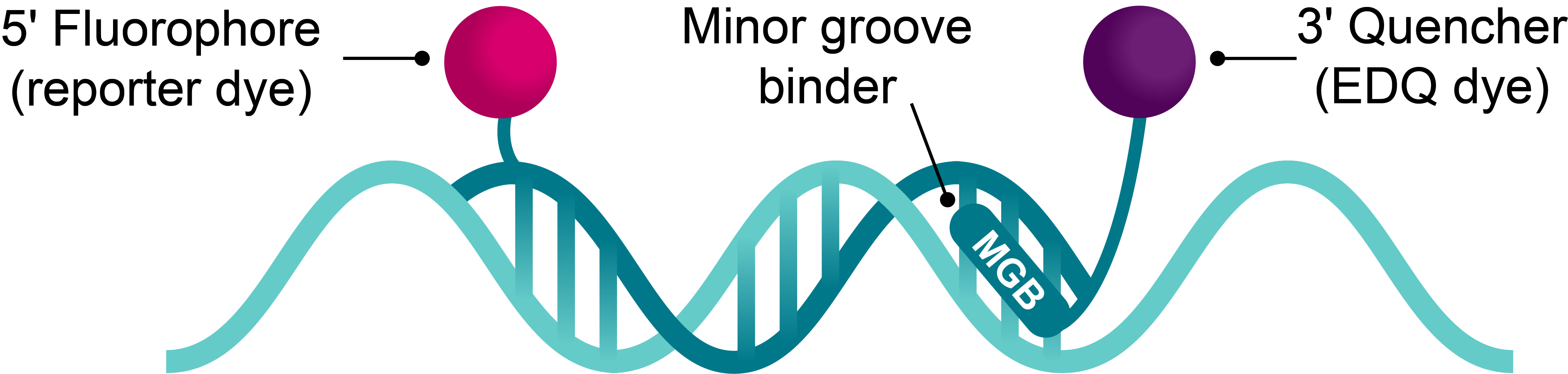 illustration of MGB probe