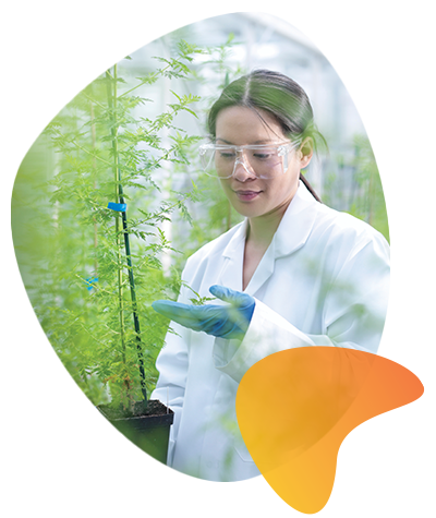 plant geneticist assessing plant variant