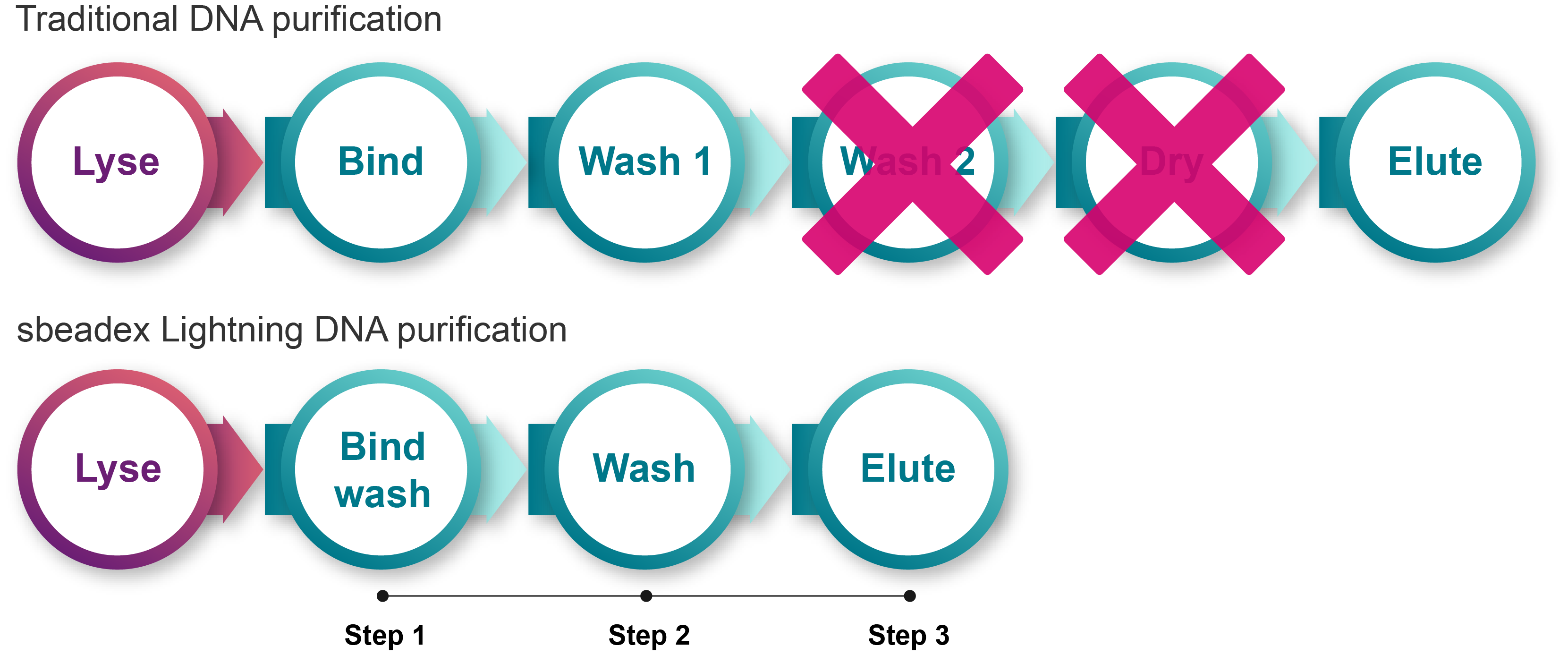 sbeadex Lightning at a glance