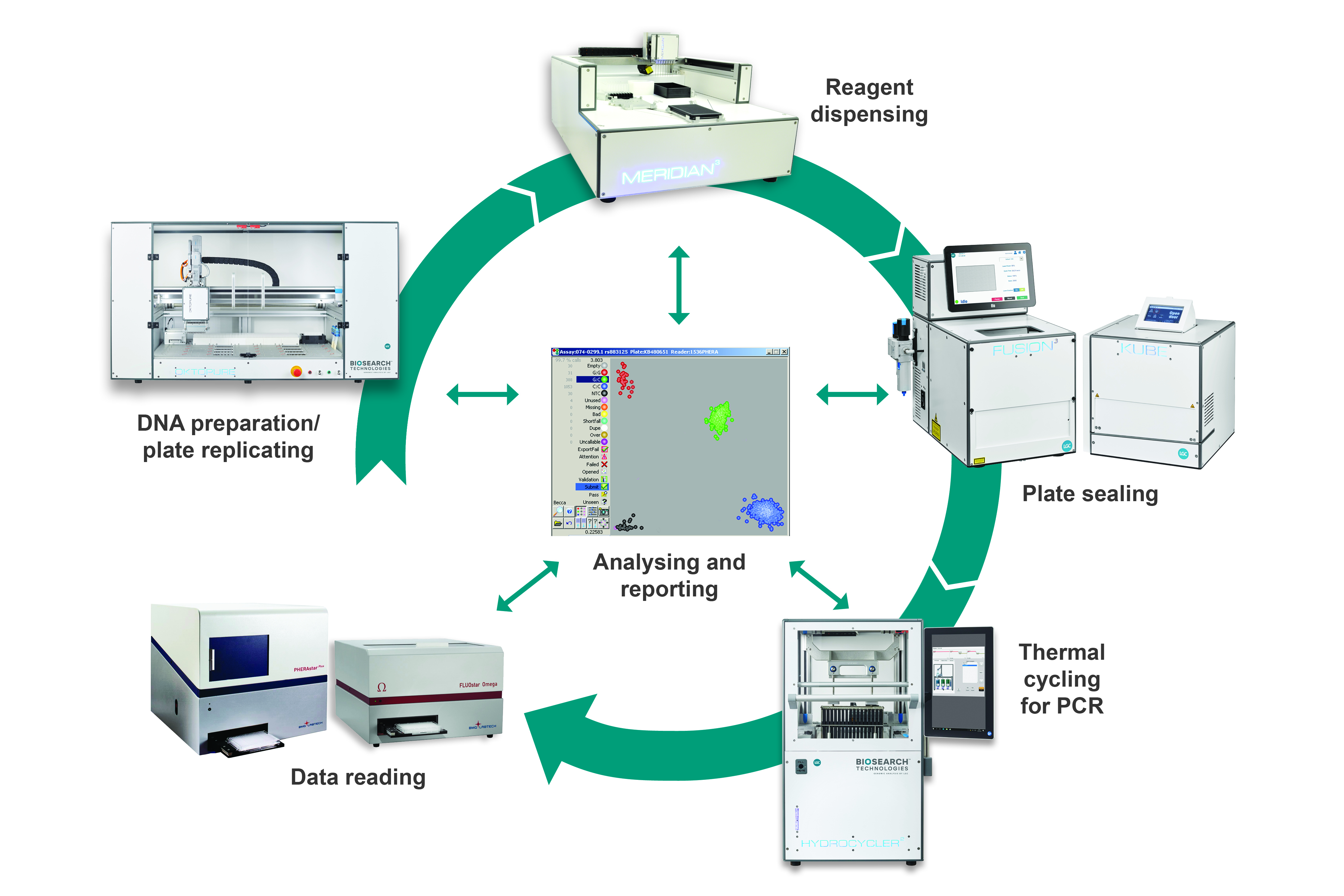 SNPline workflow