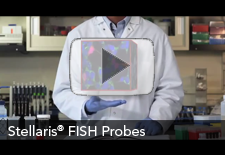 stelaris rna fish video